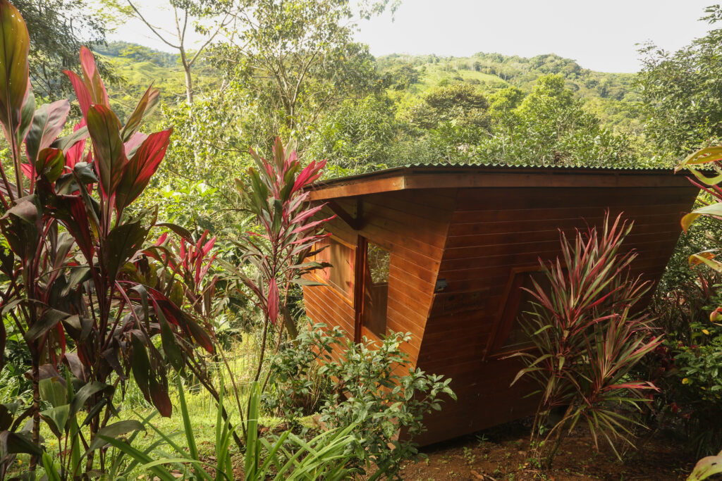 Inner Alchemy Retreat 3
